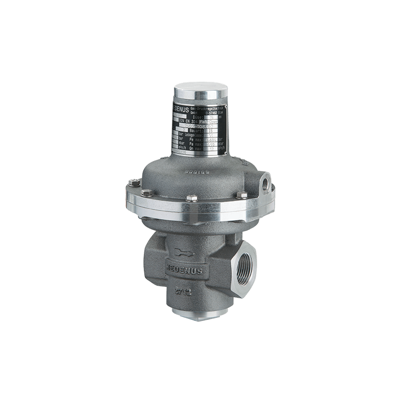 R50/R51 Series Pressure Regulators for Gas